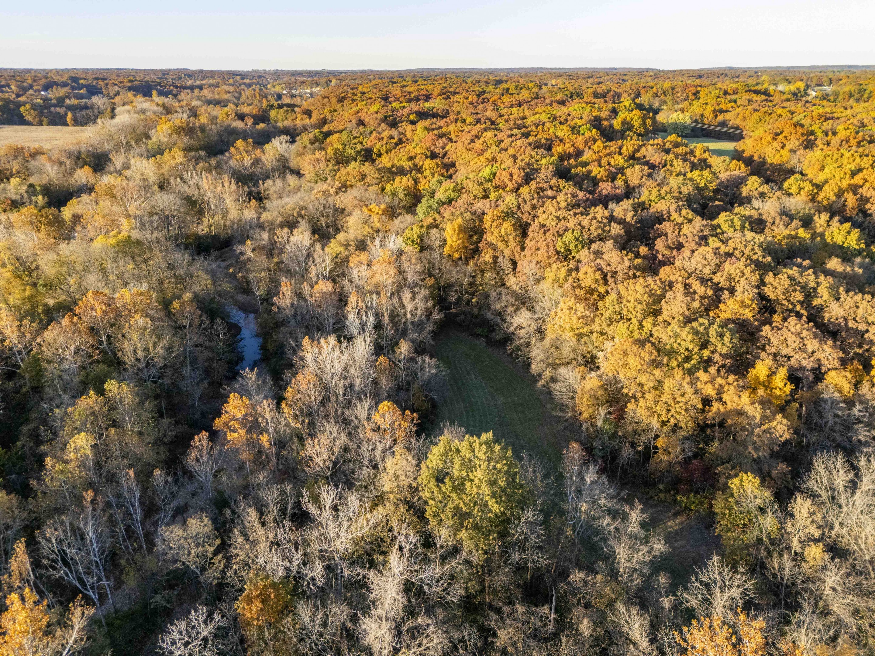 Illinois Trophy Deer Hunting